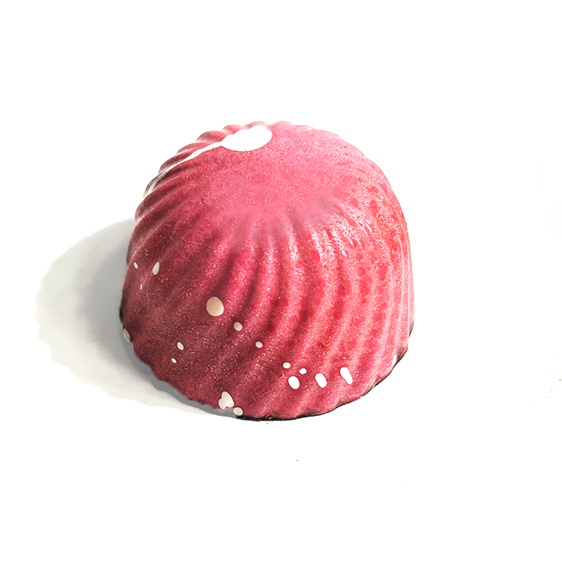 Vegan Cranberry & Dark chocolate